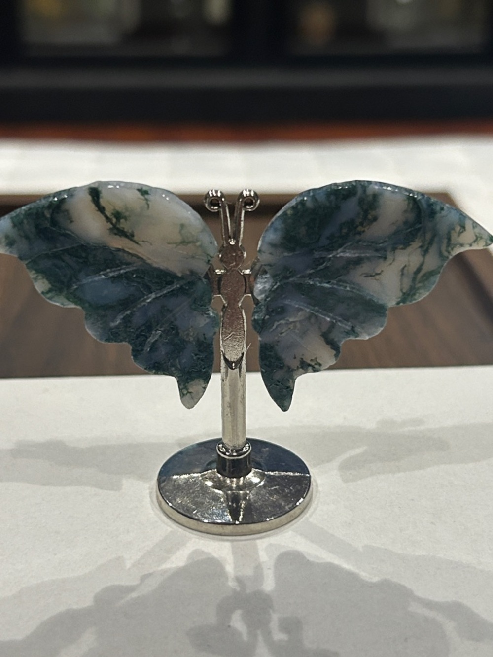 Butterfly - Picture 5 of 5